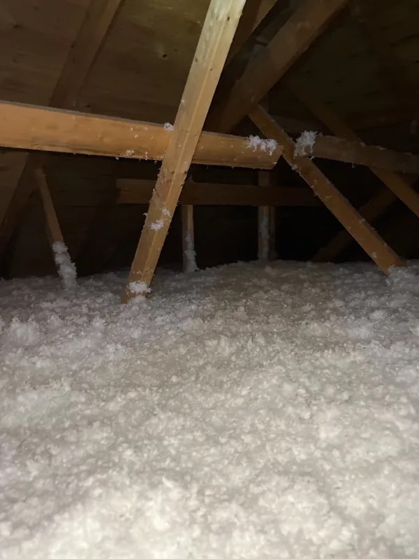 Attic1